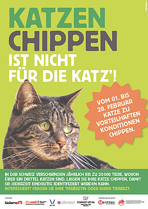 Katzen Chippen Aktion