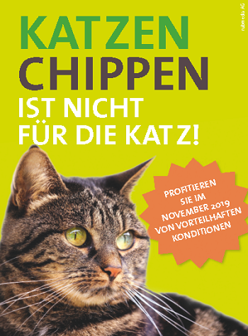 Katzen Chippen Aktion