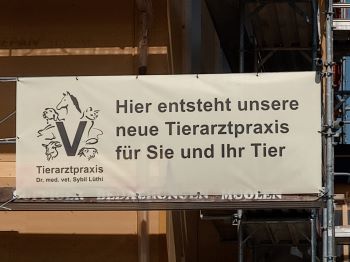 Bau Neue Tierarztpraxis