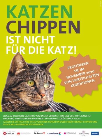 Katzen Chippen Aktion