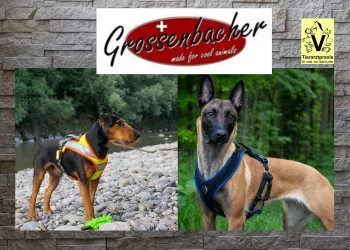 Grossenbacher Hundegeschirre 