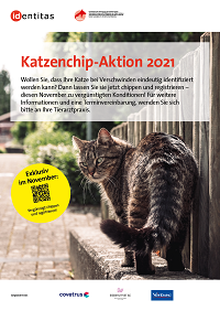 Katzenchip-Aktion