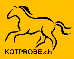 Kotprobe Pferd