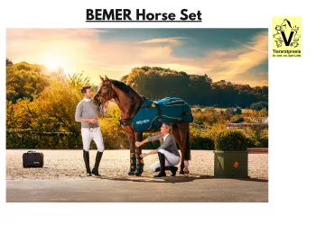 Das BEMER Horse-Set wirkt Das BEMER Horse-Set wirkt