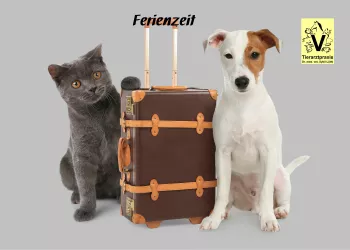 Ferien mit Hund und Katze 