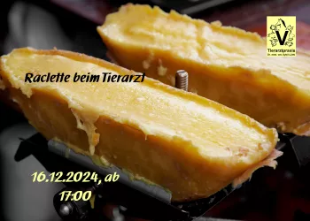 Raclette beim Tierarzt