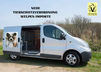 Neue Tierschutzverordnung bezüglich der Hunde