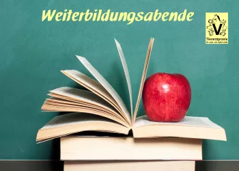 Das BEMER Horse-Set wirkt Das BEMER Horse-Set wirkt